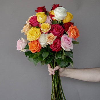 Farm Fresh Cut European Rainbow Roses For Your House