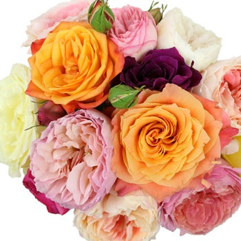 Valentine's Garden Roses Love Mix