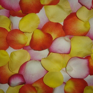 Fresh Roses Petals online