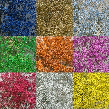 Farm Mix Airbrushed Baby's Breath