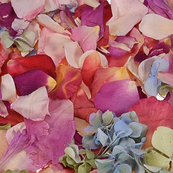 Whimisical Wedding Dried Flower Petals