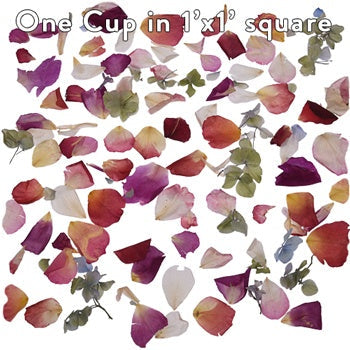 Whimisical Wedding Dried Flower Petal
