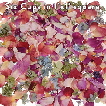 Whimisical Wedding Dried Flowers Petals