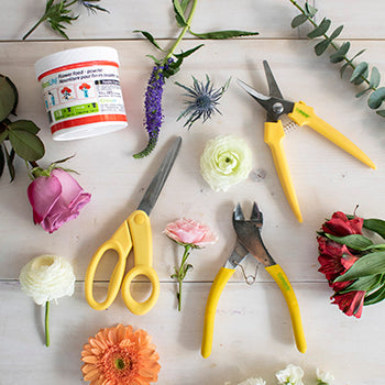 Basic Floral Care Kit Flat Lay