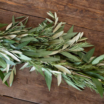 Bay Leaves Rosemary olive fresh garlands flatlay