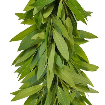 Bay Leaf Garland