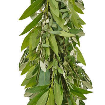 Bay Leaf and Olive Garland