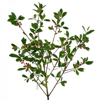 St. Augustine Holly Holiday Greenery
