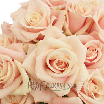 Ballet Blonde Sweetheart Roses