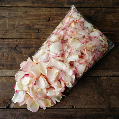 Pink Tipped Fresh Rose Petals Wholesale