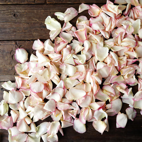 Pink Tipped Rose Petals for sale