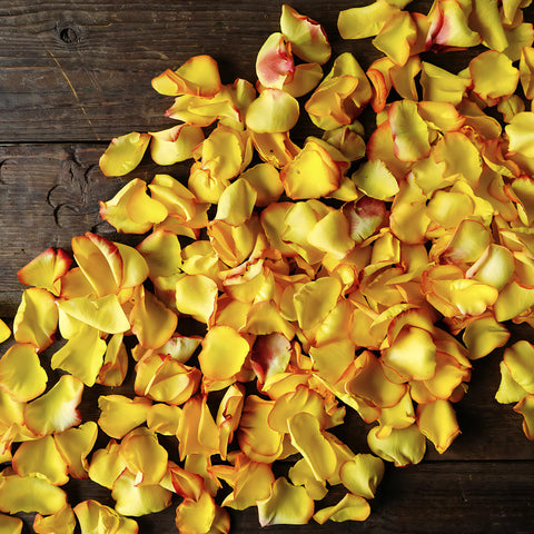 Sunset Rose Petals for sale