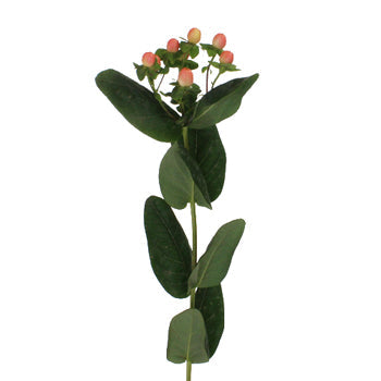 Peaches Designer Hypericum Berries