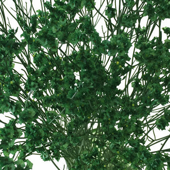 Forest Green Airbrushed Limonium