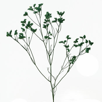 Forest Green Airbrushed Limonium