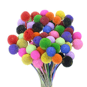Airbrushed Billy Balls Assorted Colors