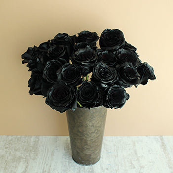Black Roses Tinted