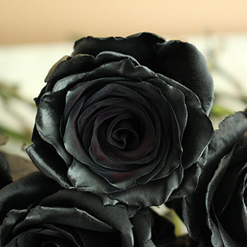 Ready To Go Wholesale Centerpieces Card