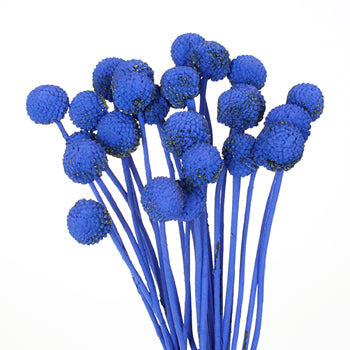 Blue Bulk Billy Balls Wholesale