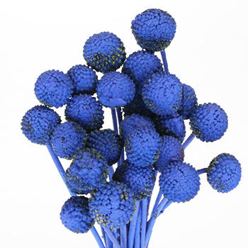 Blue Bulk Billy Balls Wholesale