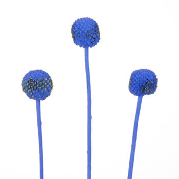 Blue Bulk Billy Balls Wholesale