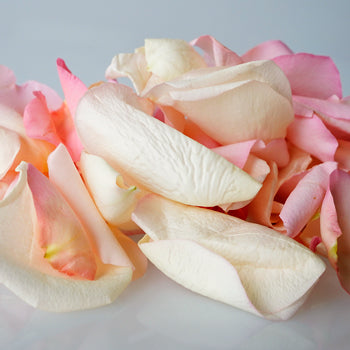 Lavender Dried Rose Petals
