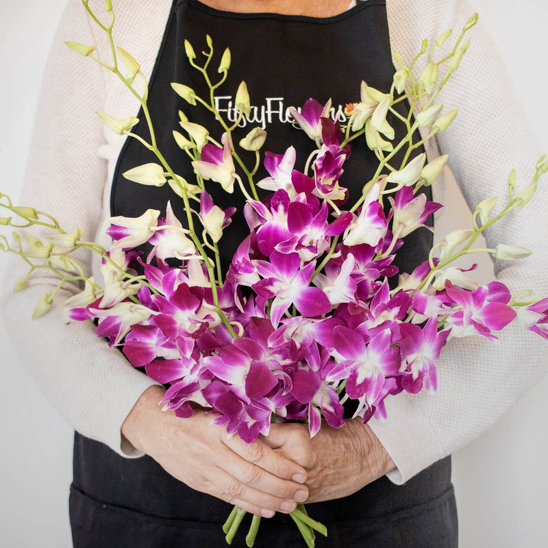 Bombay Dendrobium Orchids