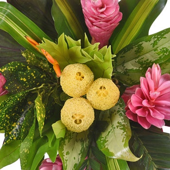 Tropical Dream Centerpiece