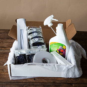 DIY Boutonniere and Corsage Supply Pack