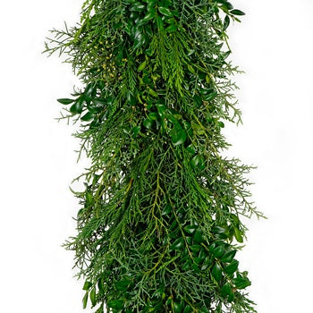 Boxwood, Leyland and Sapphire Cedar Garland