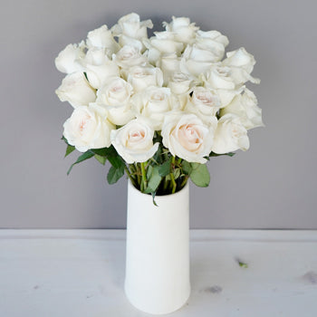 Fresh Cut Rose Blushing Bride