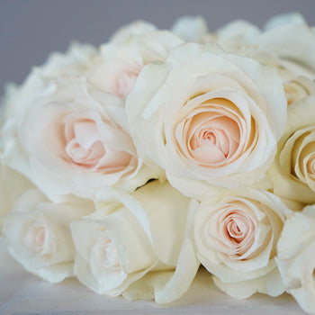 Fresh Cut Rose Blushing Bride