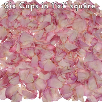Pink Bridal Preserved Rose Petals
