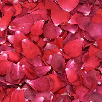 Red Rose Petals for Weddings