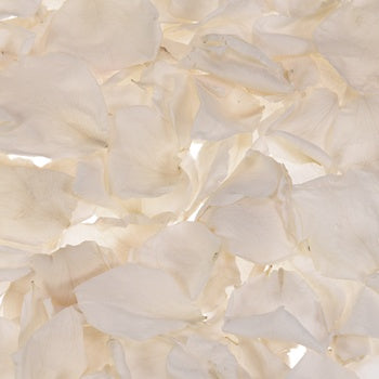 Ivory Dried Rose Petals