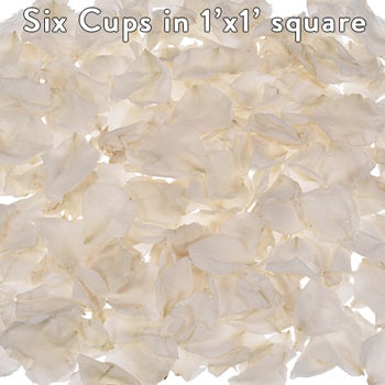 Ivory Dried Rose Petals Bulk