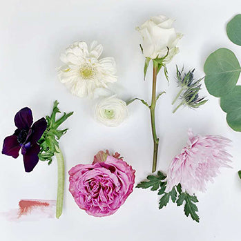 Art for Joy Sake Flower Collection