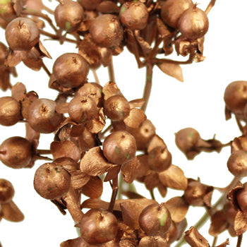 Bronze Designer Hypericum Berries Enhanced