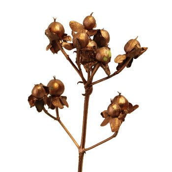 Bronze Designer Hypericum Berries Enhanced