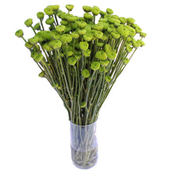 Kermit Green Button Pom Flower
