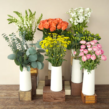 Crushing on Coral Ocean DIY Flower Kit Bulk Bunches