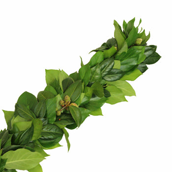 Camellia Greens Garland
