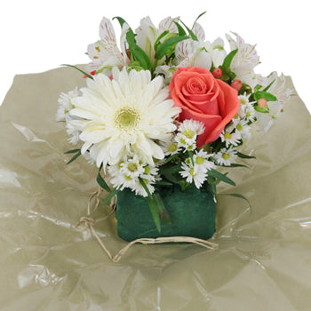 Blissful Burst Centerpieces