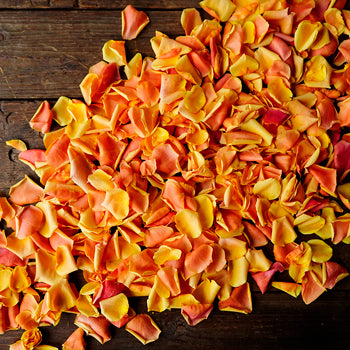Cherry Brandy Rose Petals for sale