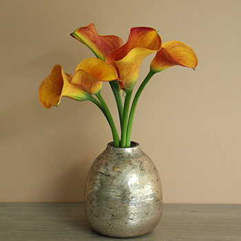 Chocolate Orange Mini Calla Flower