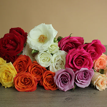 Choose Your Own Spray Bulk Roses