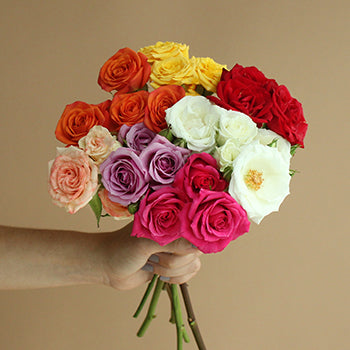 Choose Your Own Spray Bulk Roses