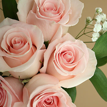 Mothers Day Dozen Roses Bouquet for Gifting