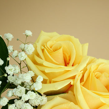 Mothers Day Dozen Roses Bouquet for Gifting
