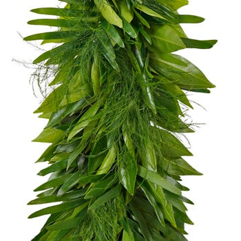 Cocculus, Coontie and Tree Fern Greens Garland